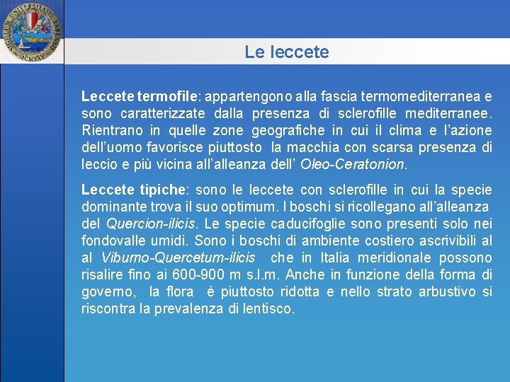 Le leccete Leccete termofile: appartengono alla fascia termomediterranea e sono caratterizzate dalla presenza di