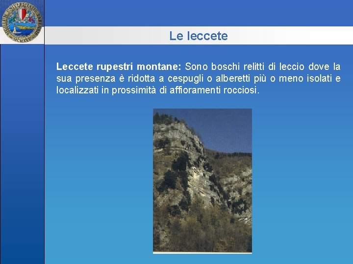 Le leccete Leccete rupestri montane: Sono boschi relitti di leccio dove la sua presenza