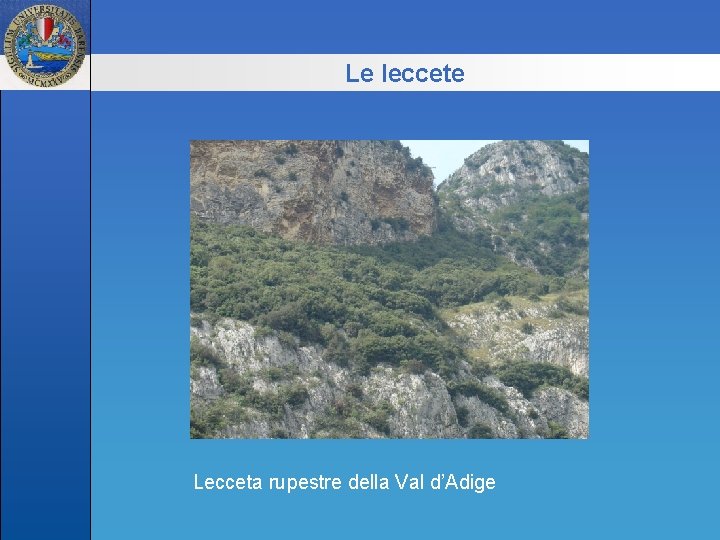 Le leccete Lecceta rupestre della Val d’Adige 