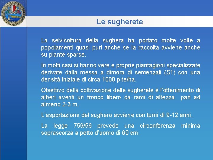 Le sugherete La selvicoltura della sughera ha portato molte volte a popolamenti quasi puri