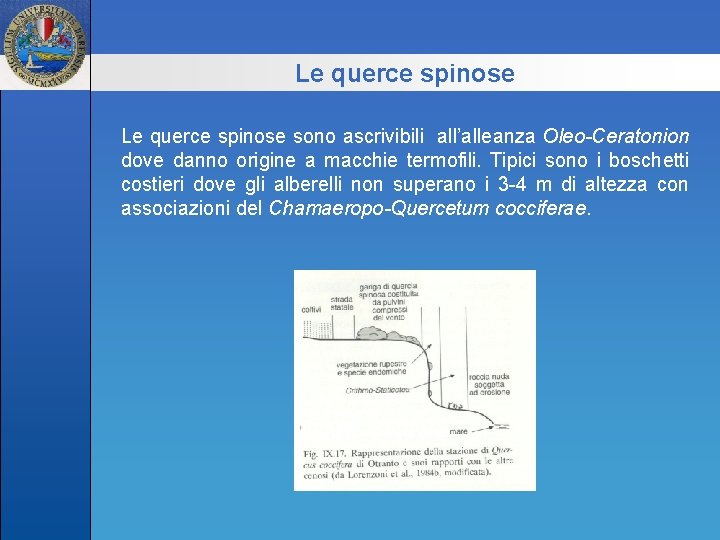 Le querce spinose sono ascrivibili all’alleanza Oleo-Ceratonion dove danno origine a macchie termofili. Tipici