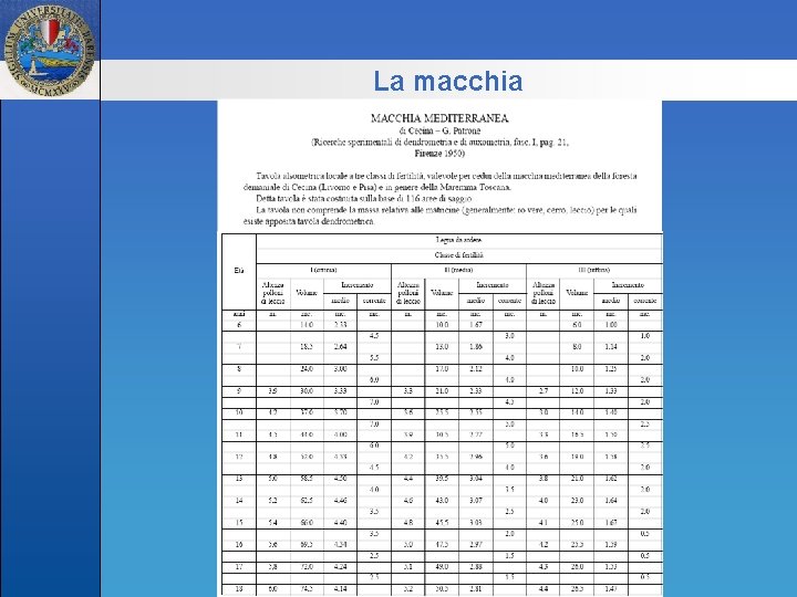 La macchia 