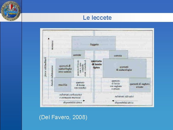 Le leccete (Del Favero, 2008) 