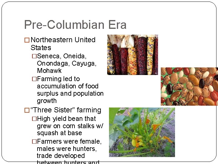 Pre-Columbian Era � Northeastern United States �Seneca, Oneida, Onondaga, Cayuga, Mohawk �Farming led to Pre-Columbian Era � Northeastern United States �Seneca, Oneida, Onondaga, Cayuga, Mohawk �Farming led to