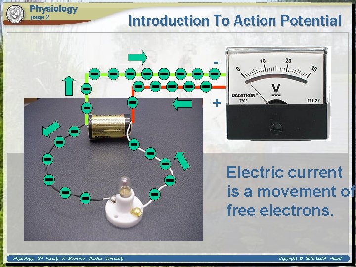 Physiology page 2 Introduction To Action Potential + Electric current is a movement of