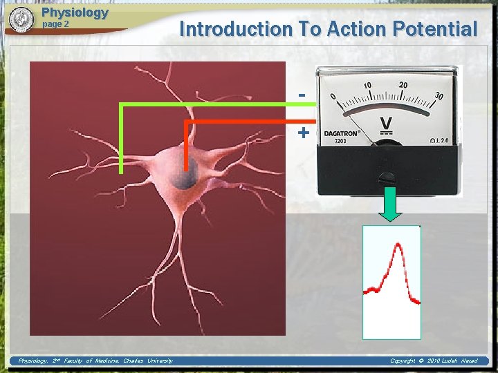 Physiology page 2 Introduction To Action Potential + Physiology, 2 nd Faculty of Medicine,