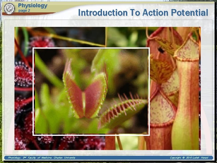 Physiology page 2 Physiology, 2 nd Faculty of Medicine, Charles University Introduction To Action