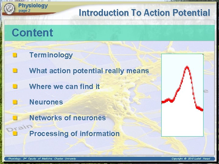 Physiology page 2 Introduction To Action Potential Content Terminology What action potential really means