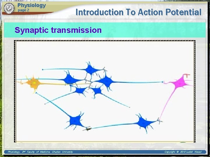 Physiology page 2 Introduction To Action Potential Synaptic transmission Physiology, 2 nd Faculty of