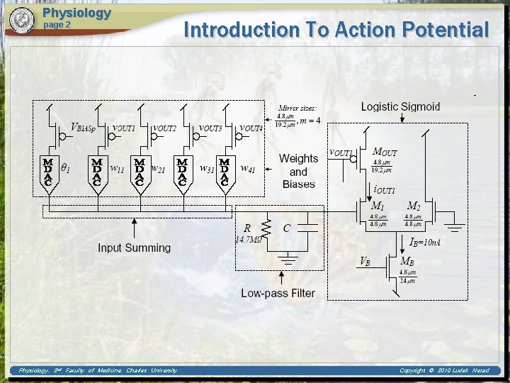 Physiology page 2 Physiology, 2 nd Faculty of Medicine, Charles University Introduction To Action