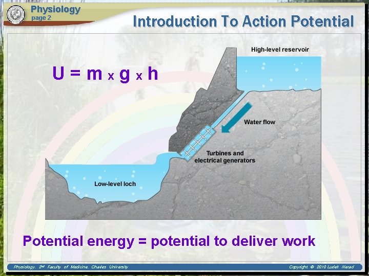 Physiology page 2 Introduction To Action Potential U=mxgxh Potential energy = potential to deliver