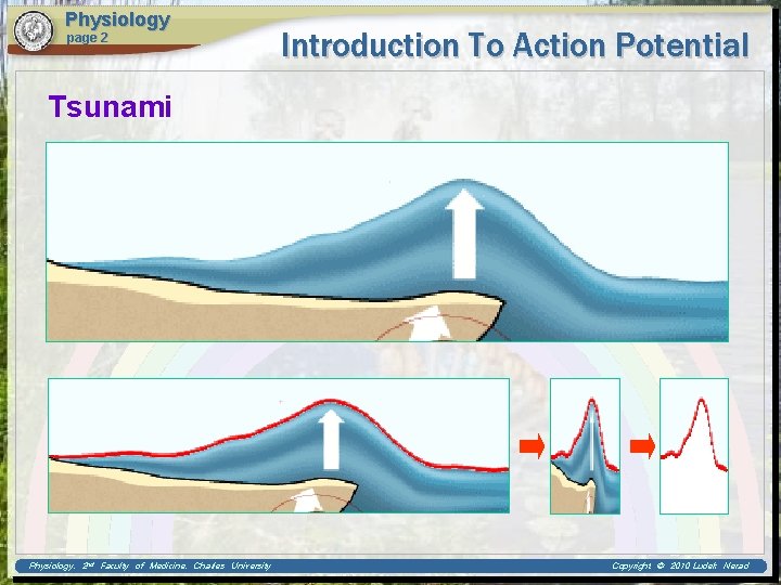 Physiology page 2 Introduction To Action Potential Tsunami Physiology, 2 nd Faculty of Medicine,