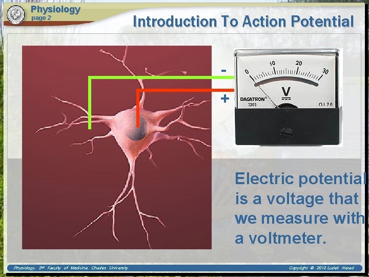 Physiology page 2 Introduction To Action Potential + Electric potential is a voltage that