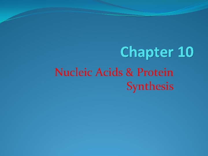 Chapter 10 Nucleic Acids & Protein Synthesis 