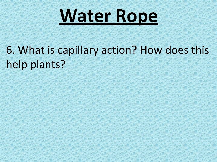 Water Rope 6. What is capillary action? How does this help plants? 