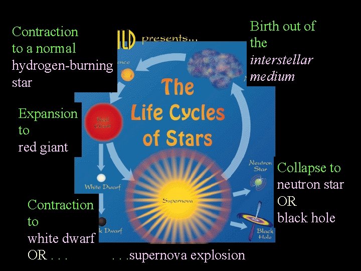 Contraction to a normal hydrogen-burning star Birth out of the interstellar medium Expansion to