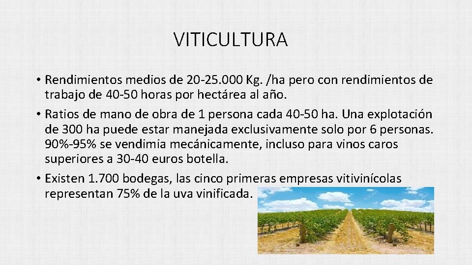 VITICULTURA • Rendimientos medios de 20 -25. 000 Kg. /ha pero con rendimientos de