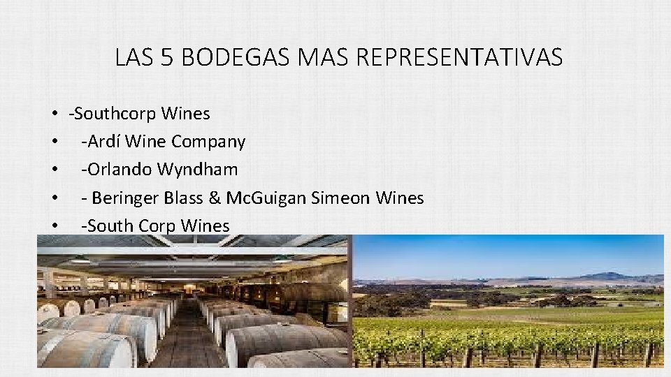 LAS 5 BODEGAS MAS REPRESENTATIVAS • -Southcorp Wines • -Ardí Wine Company • -Orlando