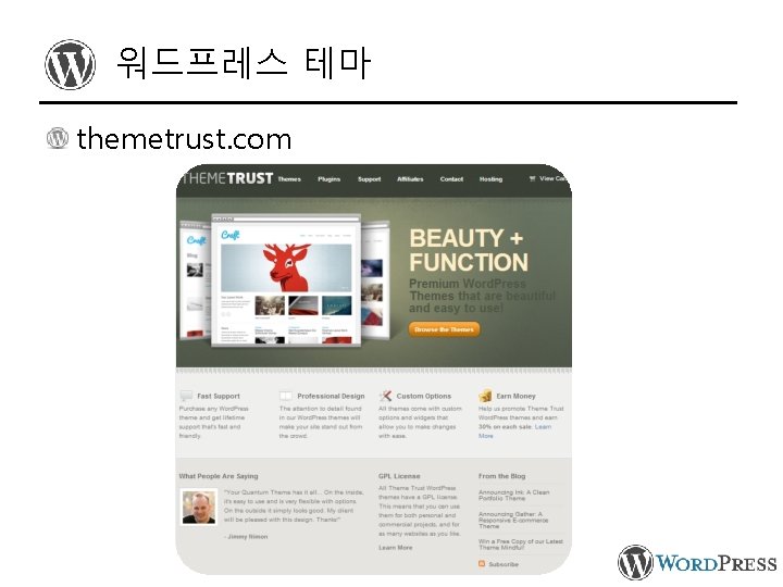워드프레스 테마 themetrust. com 