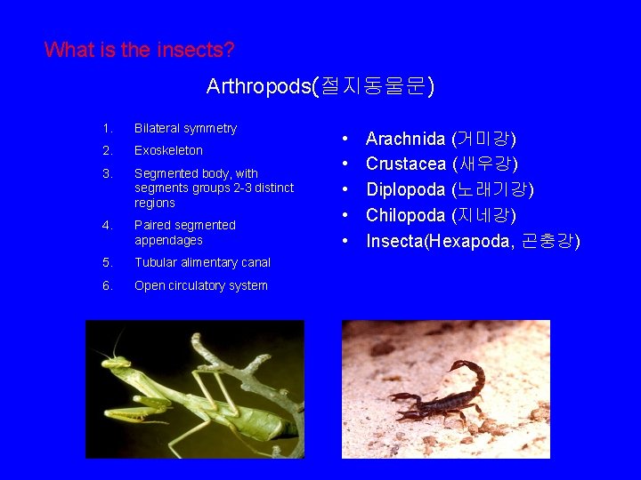 Insect Biology Spring 2020 Classification of Insects JongJin
