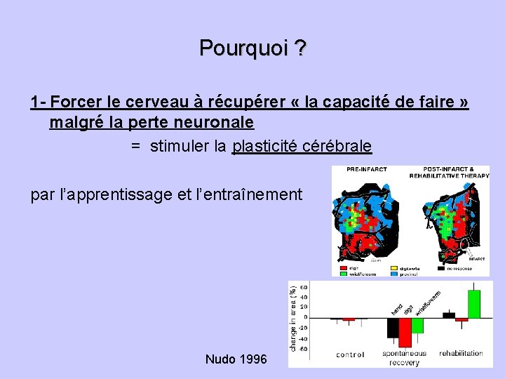 Pourquoi ? 1 - Forcer le cerveau à récupérer « la capacité de faire