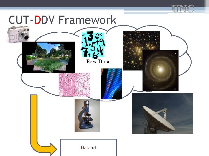 CUT-DDV Framework Raw Dataset 