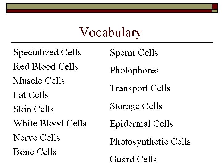 Vocabulary Specialized Cells Red Blood Cells Muscle Cells Fat Cells Skin Cells White Blood