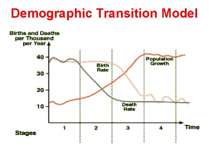 Demographic Transition Model 