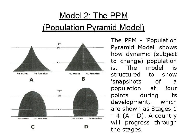 Model 2: The PPM (Population Pyramid Model) The PPM - 'Population Pyramid Model' shows