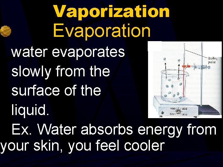 Vaporization Evaporation water evaporates slowly from the surface of the liquid. Ex. Water absorbs