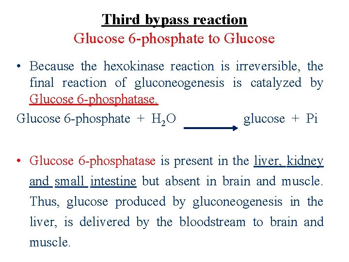 Third bypass reaction Glucose 6 -phosphate to Glucose • Because the hexokinase reaction is