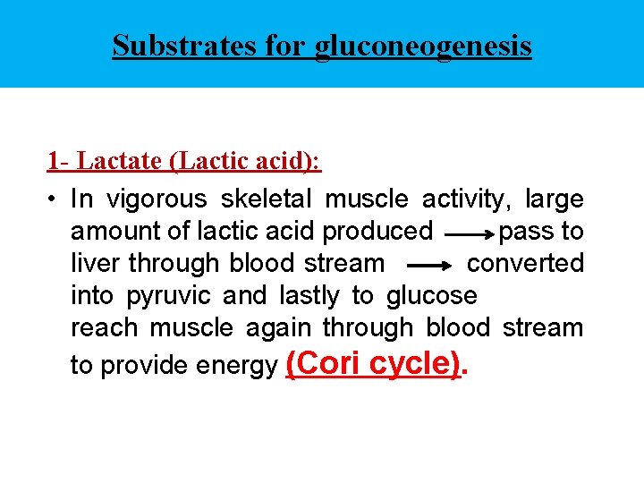 Substrates for gluconeogenesis 1 - Lactate (Lactic acid): • In vigorous skeletal muscle activity,