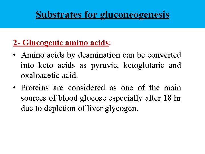 Substrates for gluconeogenesis 2 - Glucogenic amino acids: • Amino acids by deamination can