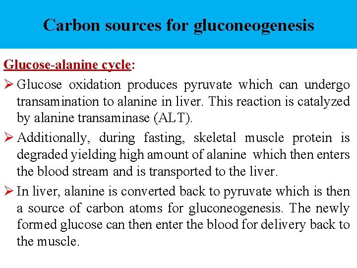 Carbon sources for gluconeogenesis Glucose-alanine cycle: Ø Glucose oxidation produces pyruvate which can undergo