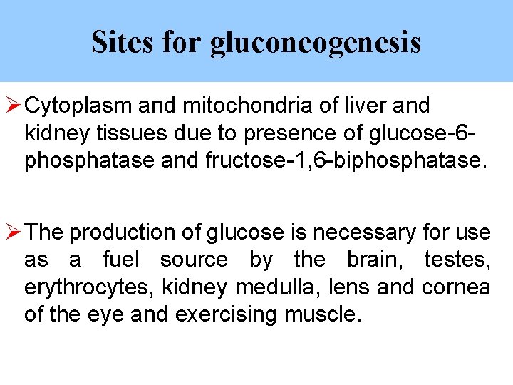 Sites for gluconeogenesis Ø Cytoplasm and mitochondria of liver and kidney tissues due to