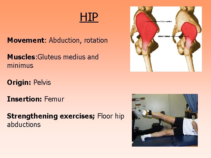 HIP Movement: Abduction, rotation Muscles: Gluteus medius and minimus Origin: Pelvis Insertion: Femur Strengthening