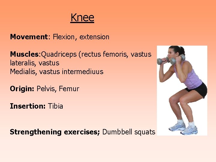 Knee Movement: Flexion, extension Muscles: Quadriceps (rectus femoris, vastus lateralis, vastus Medialis, vastus intermediuus