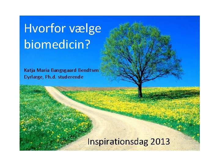 Hvorfor vælge biomedicin? Katja Maria Bangsgaard Bendtsen Dyrlæge, Ph. d. studerende Inspirationsdag 2013 