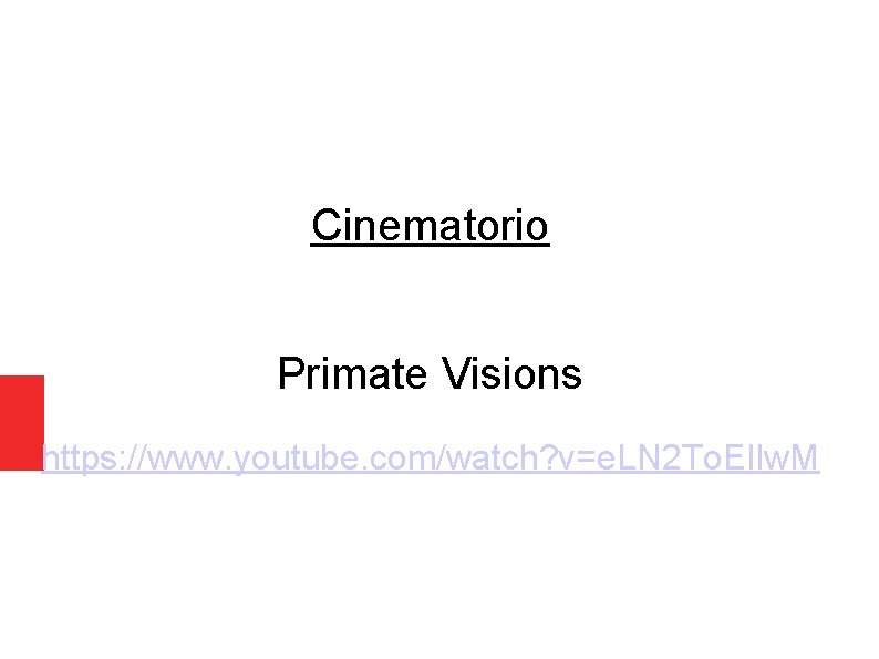 Cinematorio Primate Visions https: //www. youtube. com/watch? v=e. LN 2 To. EIlw. M 