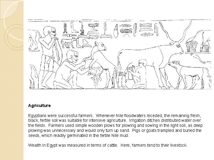 Agriculture Egyptians were successful farmers. Whenever Nile floodwaters receded, the remaining fresh, black, fertile