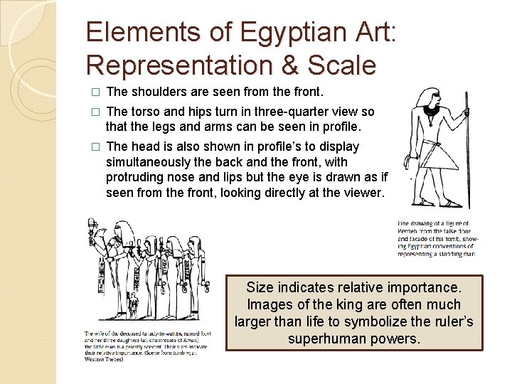 Elements of Egyptian Art: Representation & Scale � The shoulders are seen from the