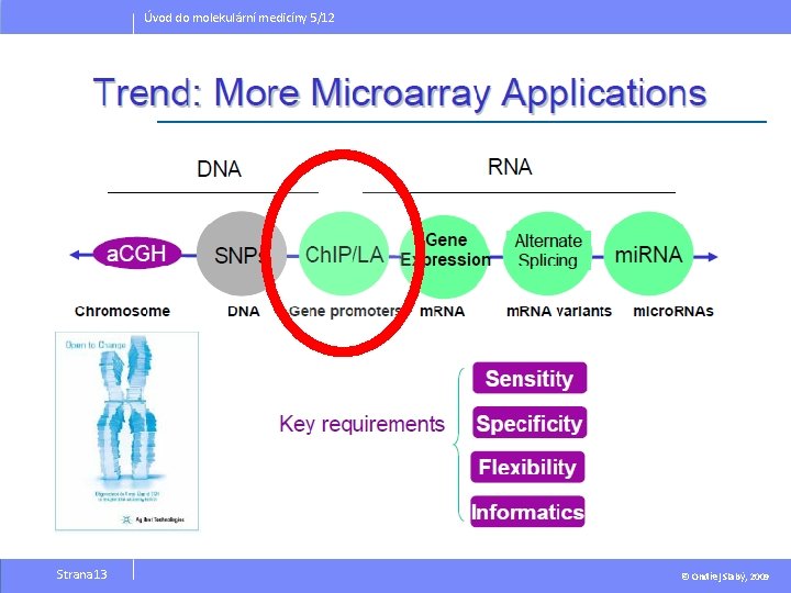 Úvod do molekulární medicíny 5/12 Strana 13 © Ondřej Slabý, 2009 