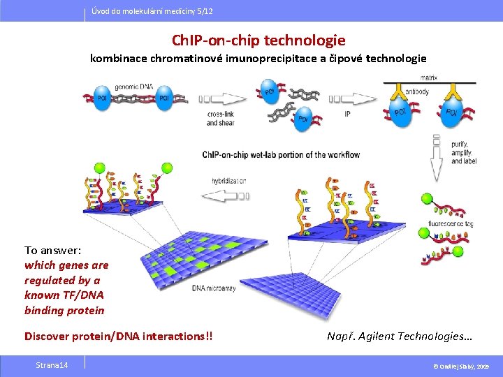 Úvod do molekulární medicíny 5/12 Ch. IP-on-chip technologie kombinace chromatinové imunoprecipitace a čipové technologie