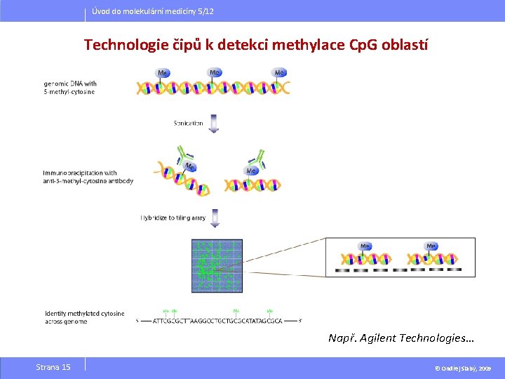 Úvod do molekulární medicíny 5/12 Technologie čipů k detekci methylace Cp. G oblastí Např.