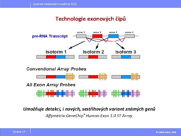 Úvod do molekulární medicíny 5/12 Technologie exonových čipů Umožňuje detekci, i nových, sestřihových variant