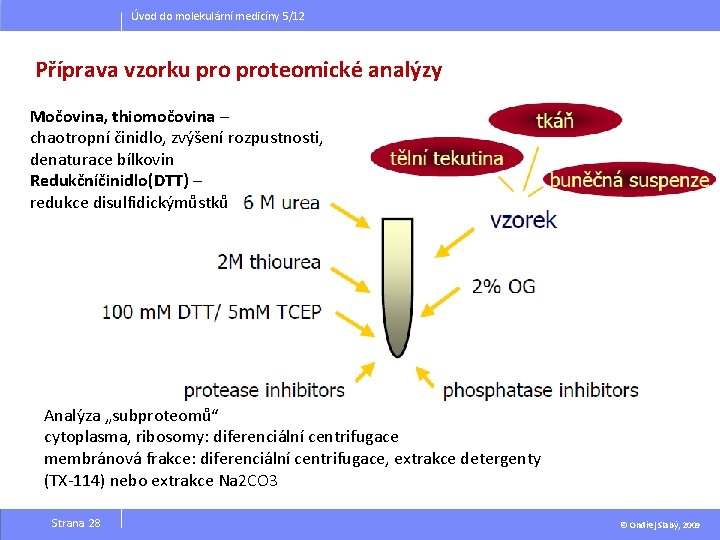 Úvod do molekulární medicíny 5/12 Příprava vzorku proteomické analýzy Močovina, thiomočovina – chaotropní činidlo,