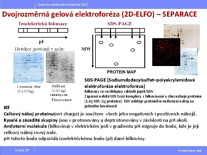 Úvod do molekulární medicíny 5/12 Dvojrozměrná gelová elektroforéza (2 D-ELFO) – SEPARACE SDS-PAGE (Sodiumdodecylsulfat–polyakrylamidová