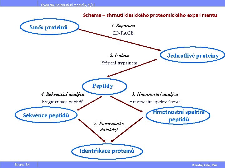 Úvod do molekulární medicíny 5/12 Schéma – shrnutí klasického proteomického experimentu 1. Separace Směs
