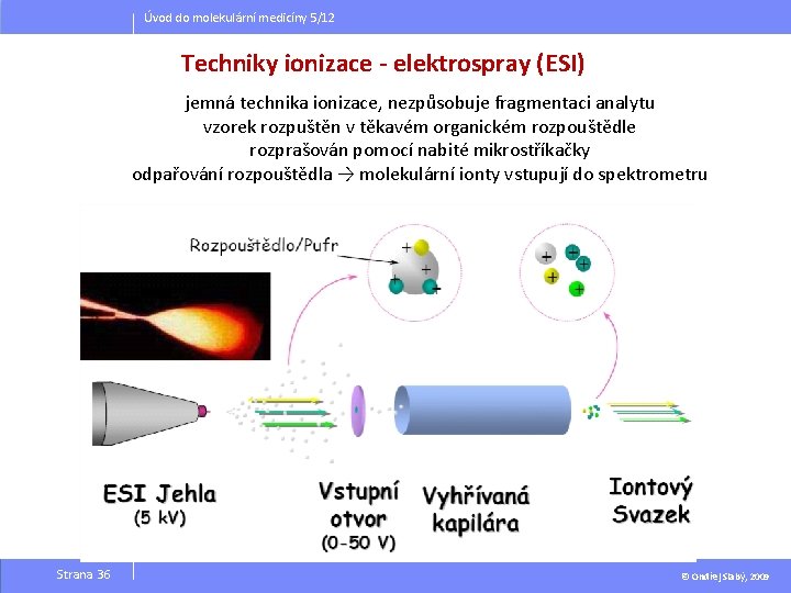 Úvod do molekulární medicíny 5/12 Techniky ionizace - elektrospray (ESI) jemná technika ionizace, nezpůsobuje