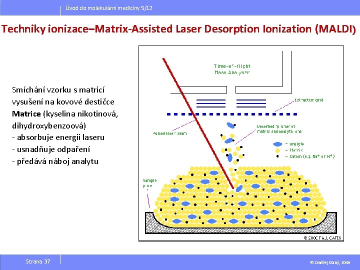 Úvod do molekulární medicíny 5/12 Techniky ionizace–Matrix-Assisted Laser Desorption Ionization (MALDI ) Smíchání vzorku